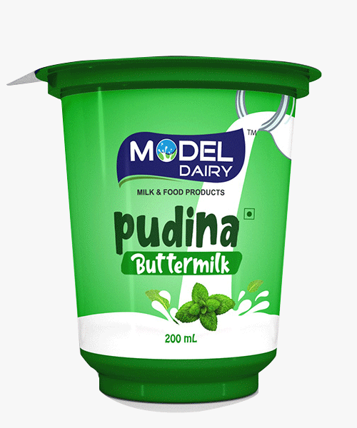 PUDINA BUTTERMILK 2